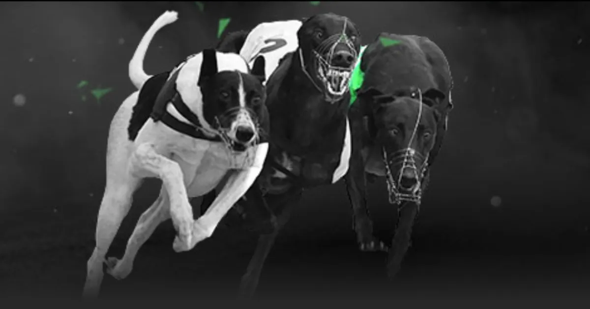 哪吒,美国上映座,无虚席,九游,九游体育,JiuYou,九游体育官网