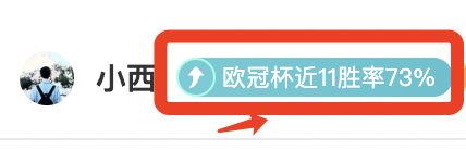 安东森与安,洗莹同夺中,国羽球大师,九游,九游体育,JiuYou,九游体育官网