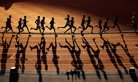 由球队前锋 由球队前锋